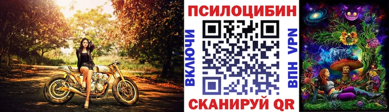Псилоцибиновые грибы Cubensis Каменск-Уральский