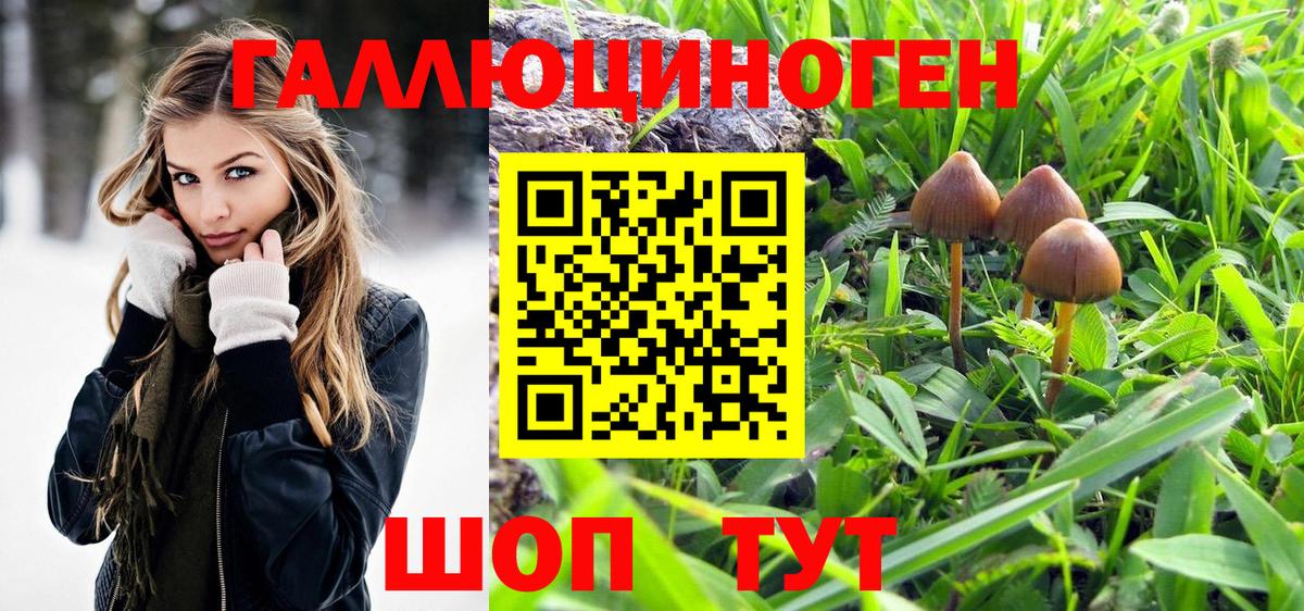 Галлюциногенные грибы Cubensis  Псилоцибиновые грибы мицелий  Вход с VPN  Каменск-Уральский 